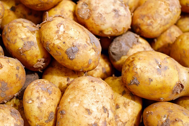 ochrona ziemniaków przed grzybami